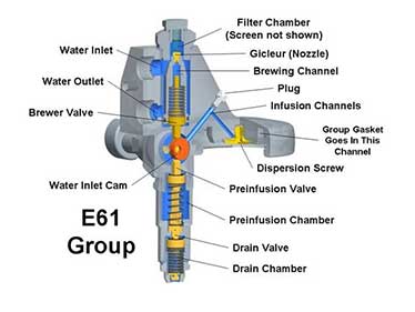 E61 Group